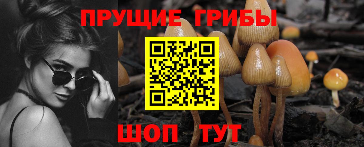 Галлюциногенные грибы мухоморы  Вход с VPN  Карпинск 